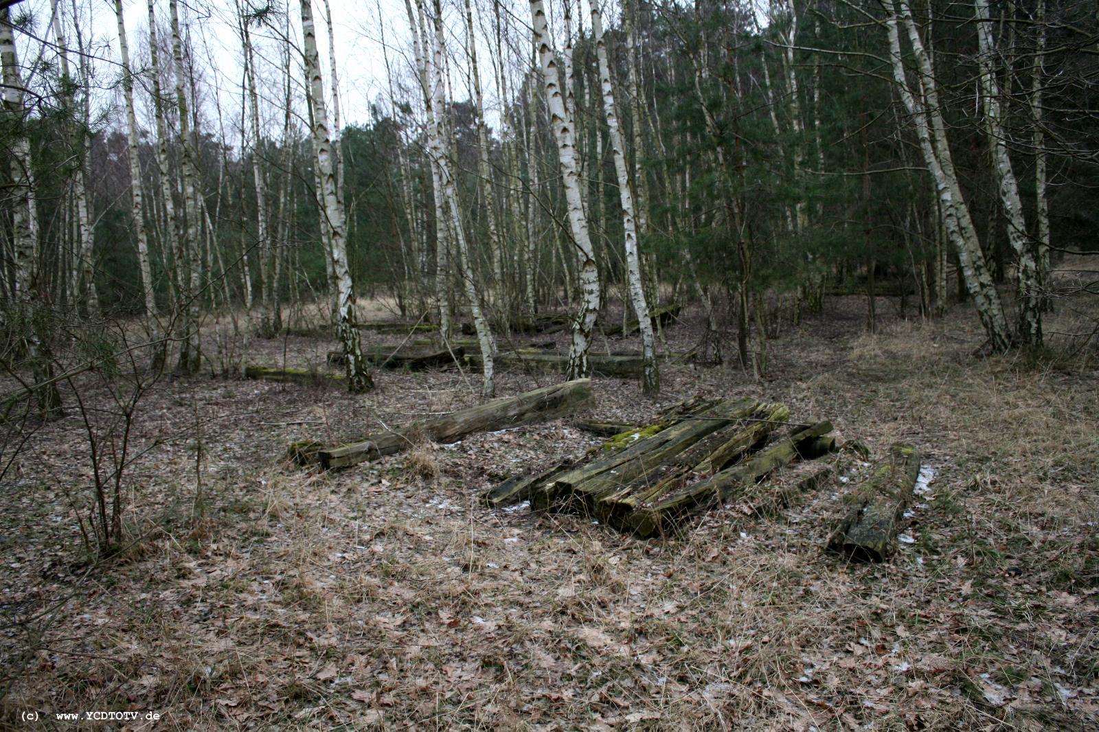 Strecke Stendal-Arneburg, 2011, im Wald, westlich des Gleises, alte Schwellen 