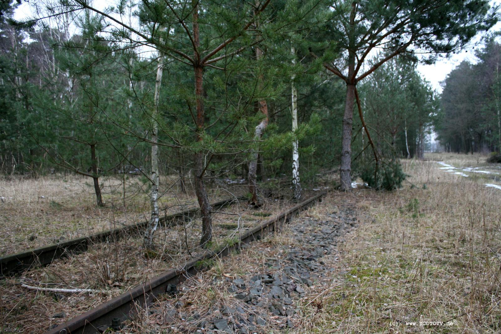Strecke Stendal-Arneburg, 2011, weiter Richtung Arneburg 