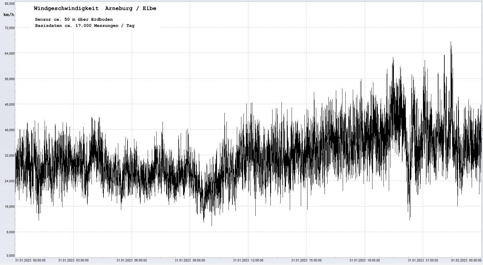 Arneburg Tages-Diagramm Winddaten, 31.01.2023
  Diagramm, Sensor auf Gebude, ca. 50 m ber Erdboden, Basis: 5s-Aufzeichnung