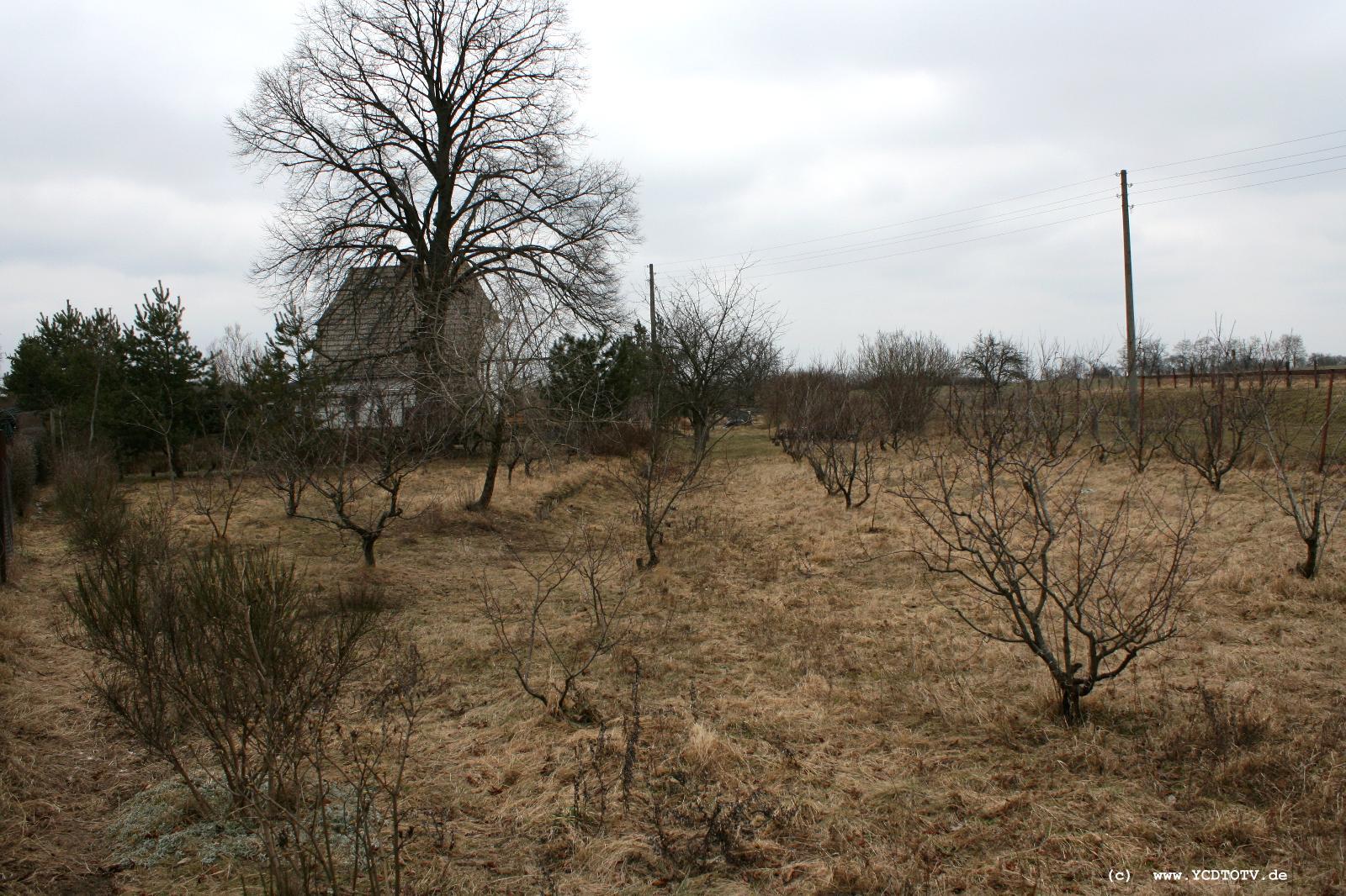 Strecke Stendal-Arneburg, 2011, Brs, nrdliche Richtung 