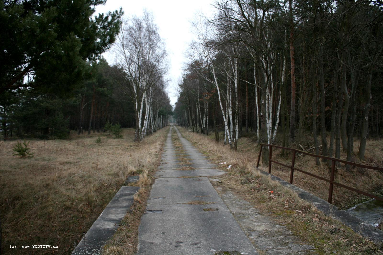 Strecke Stendal-Arneburg, 2011, altes Trasse, Richtung Arneburg 