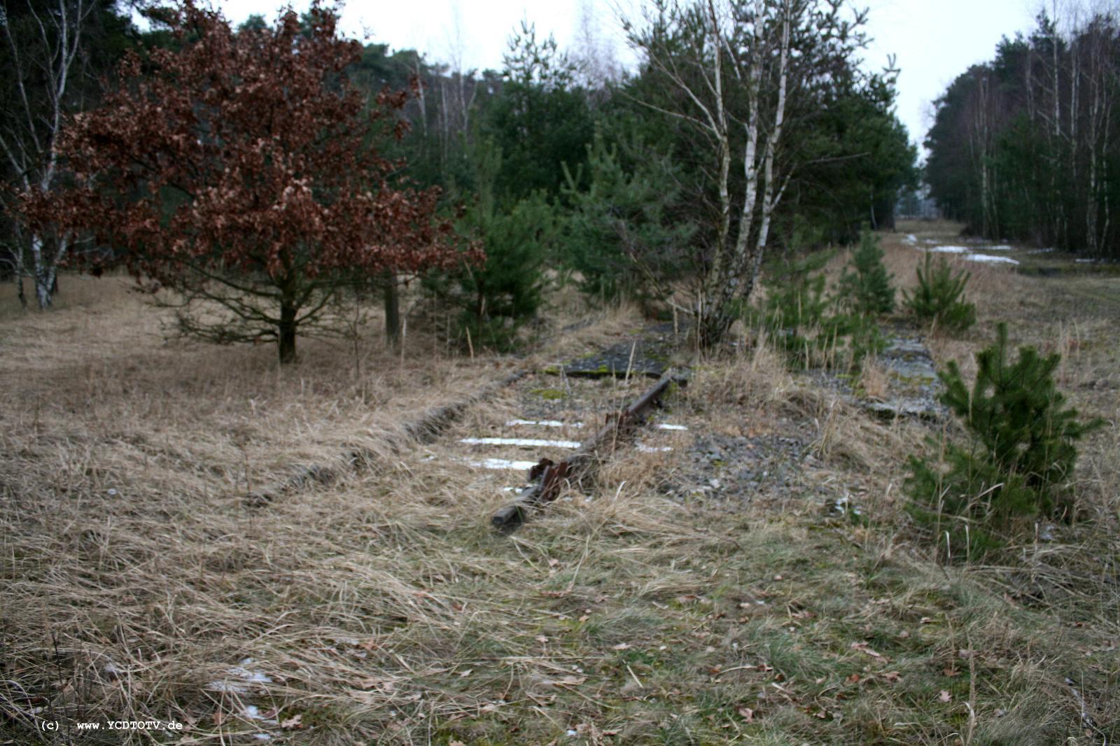 Strecke Stendal-Arneburg, 2011, altes Trasse, Richtung Arneburg, Gleisreste 