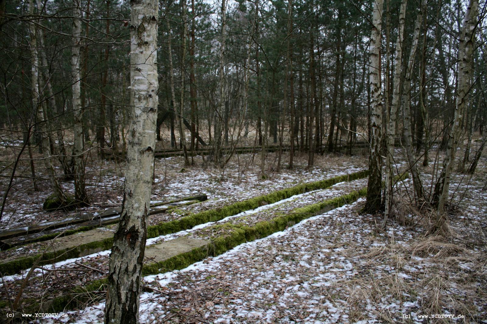 Strecke Stendal-Arneburg, 2011, im Wald, westlich des Gleises, verlegte Platten, war da mal ein Gleisstummel? 