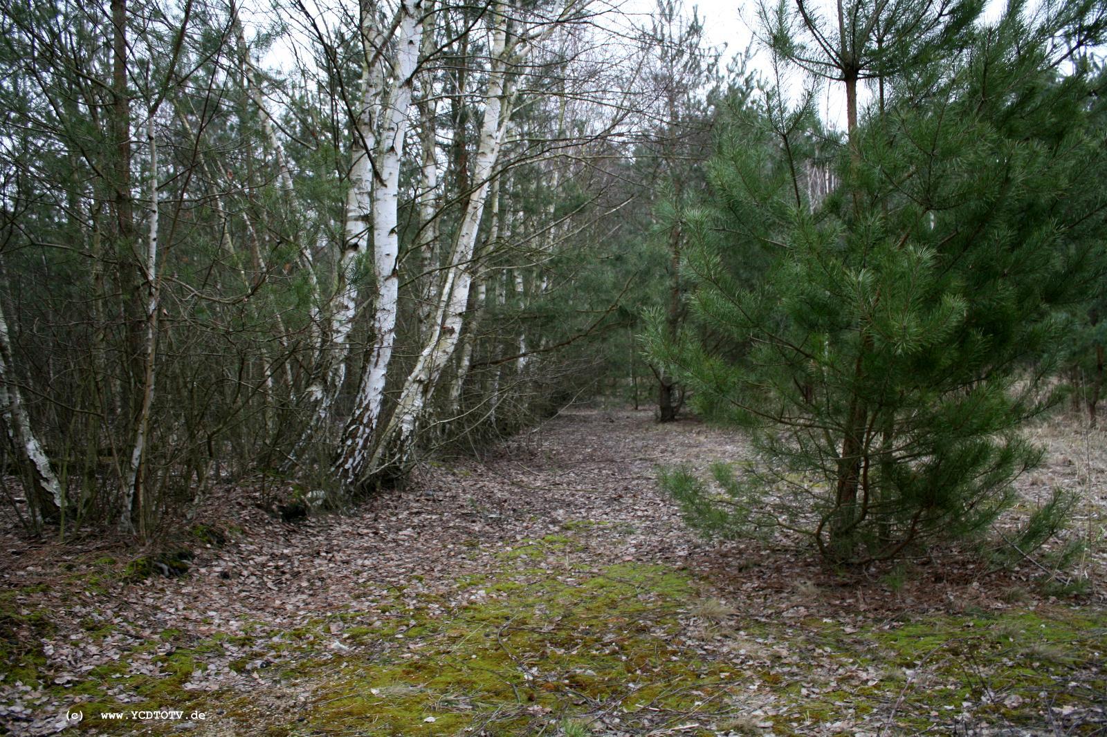 Strecke Stendal-Arneburg, 2011,     