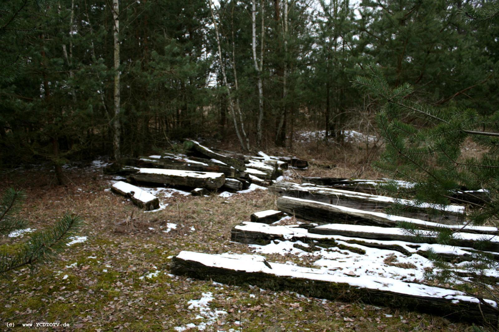 Strecke Stendal-Arneburg, 2011, im Wald, noch mehr alte Schwellen 