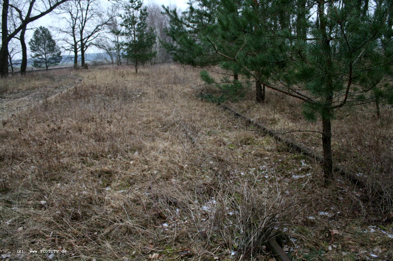 Strecke Stendal-Arneburg, 2011,weiter Richtung Arneburg, links kommt die neue Strecke 