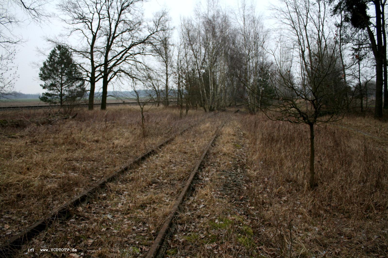Strecke Stendal-Arneburg, 2011, weiter Richtung Arneburg, links kommt die neue Strecke 