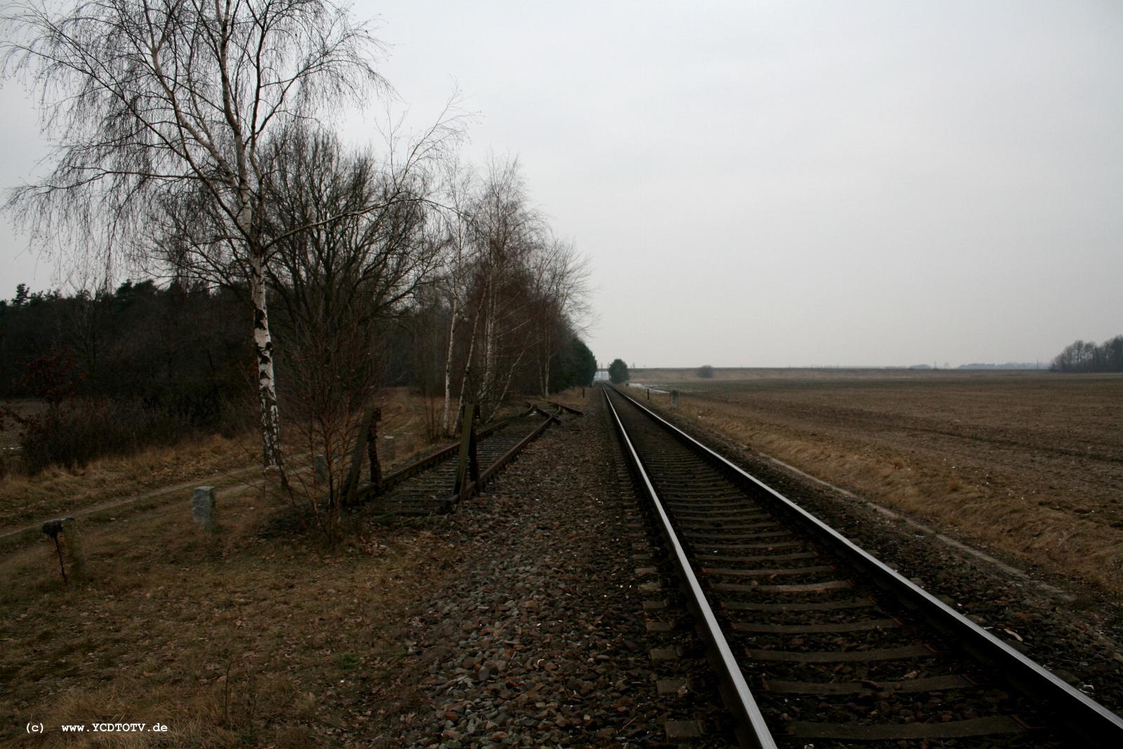 Strecke Stendal-Arneburg, 2011, neue Strecke, Blick Richtung Borstel 
