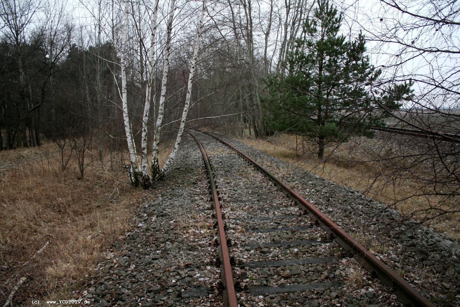 Strecke Stendal-Arneburg, 2011, hinter der Kurve, jetzt Blick Richtung Stendal, fast wie neu 