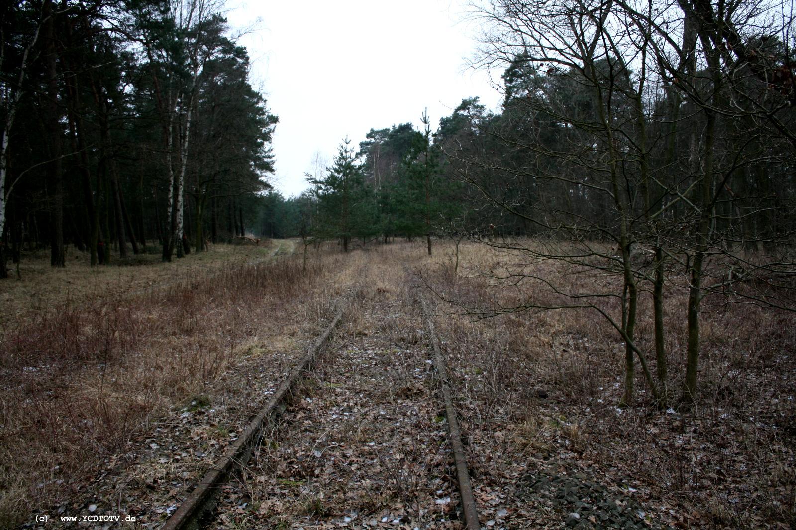 Strecke Stendal-Arneburg, 2011, Blick Richtung Stendal 
