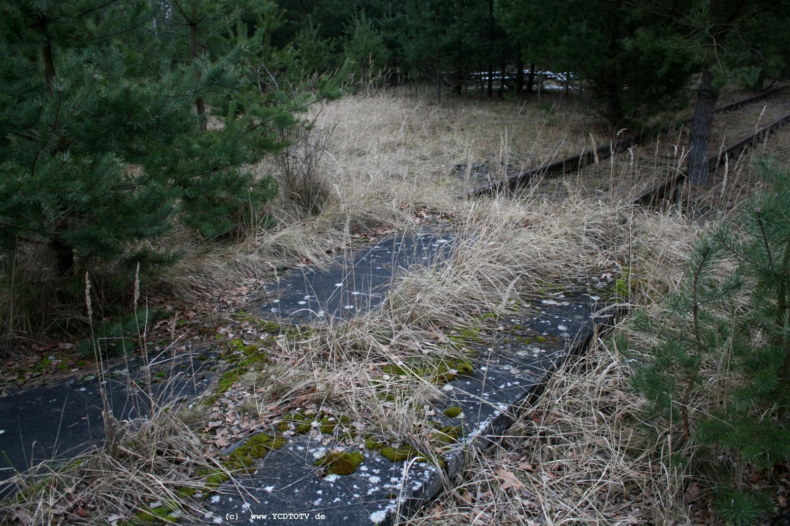 Strecke Stendal-Arneburg, 2011, altes Trasse, Richtung Arneburg 