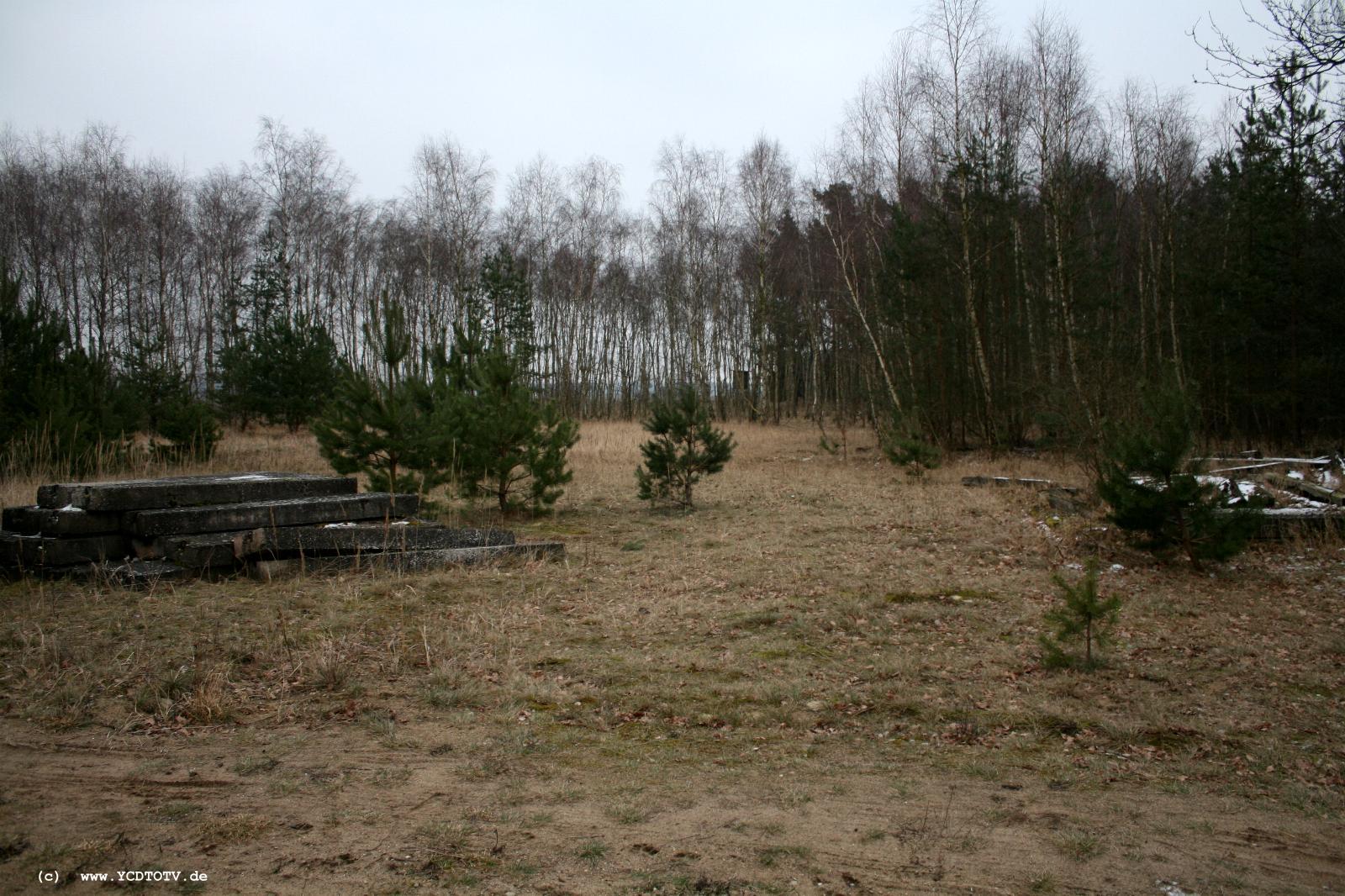 Strecke Stendal-Arneburg, 2011, Blick vom Prellbock Richtung Osten 