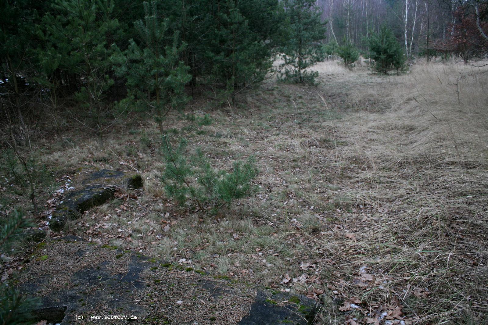 Strecke Stendal-Arneburg, 2011, was war hier (?), Blick vom Westen Richtung Prellbock 