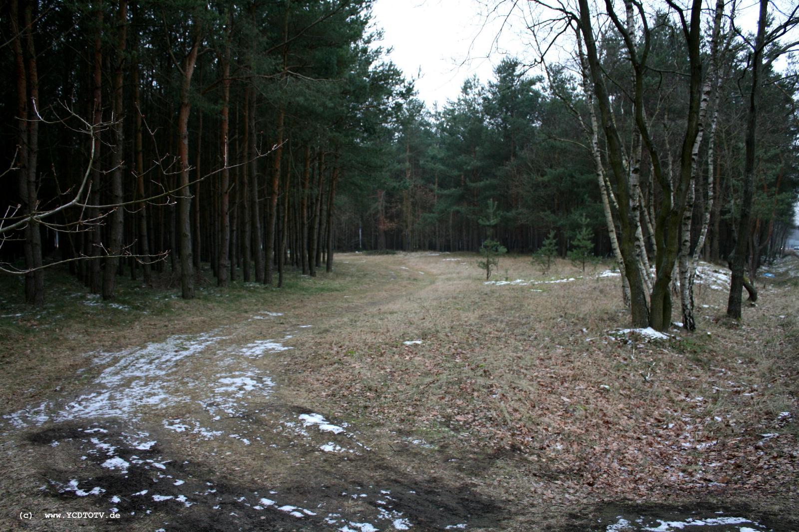 Strecke Stendal-Arneburg, 2011, Nhe alte Trasse, Blick Richtung Stendal, Waldweg oder Trasse? 