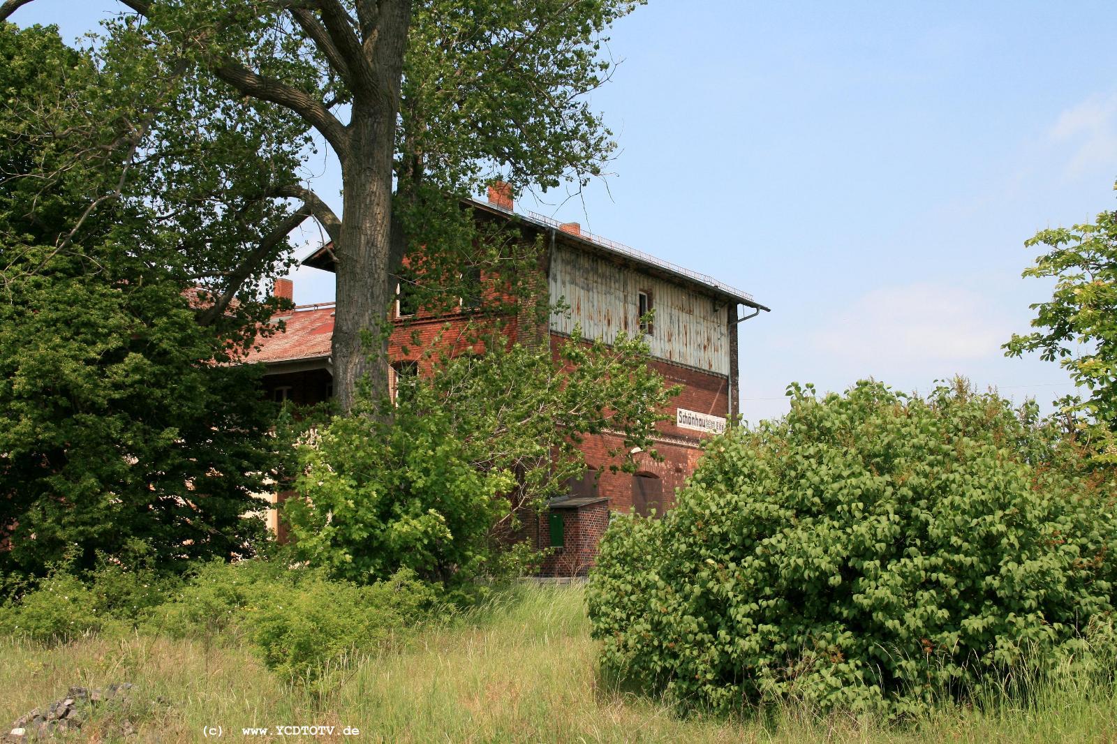  Bahnhof Schnhausen (Elbe), 20.05.2011, kaschiert durch die Natur 