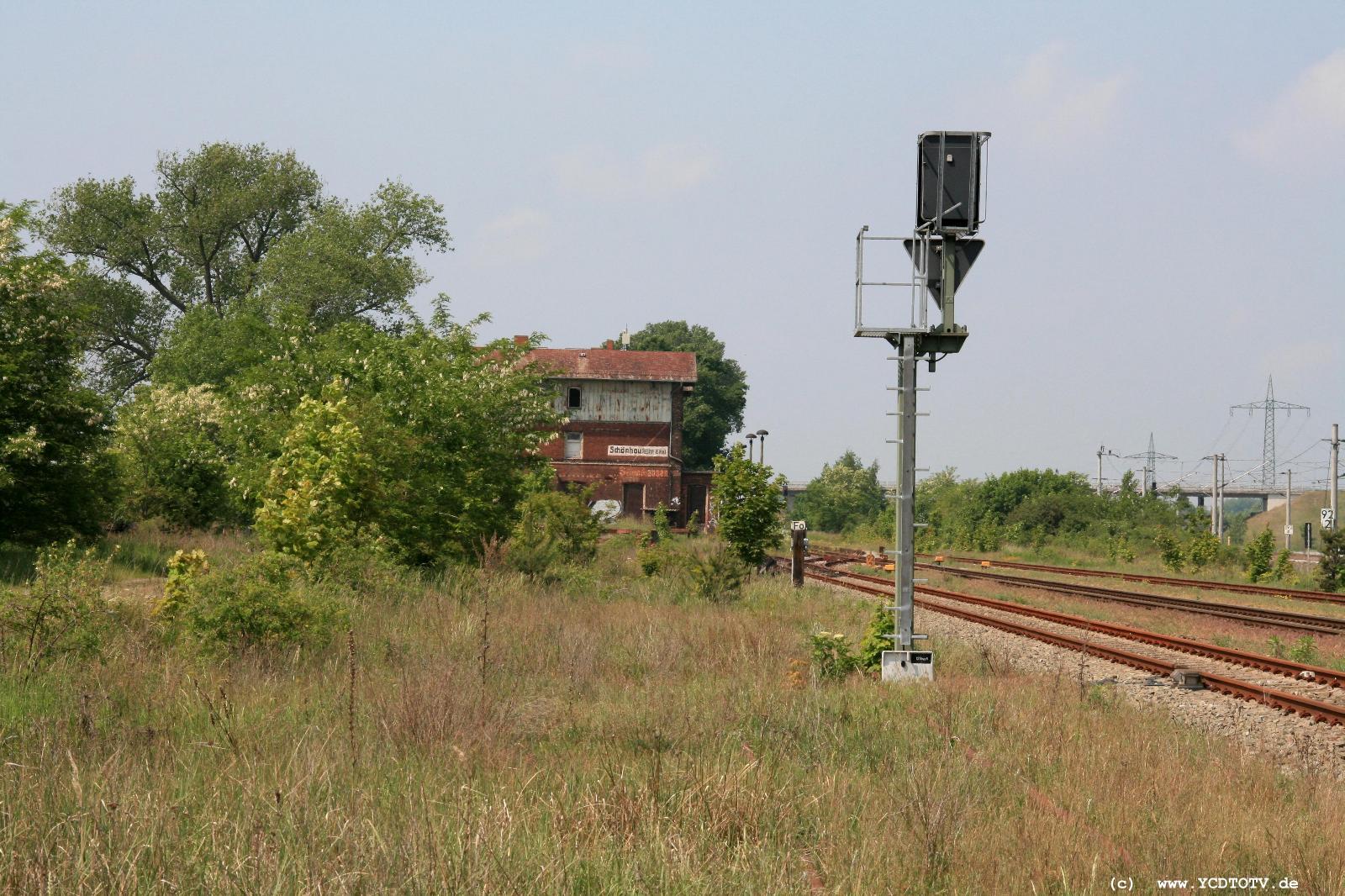  Bahnhof Schnhausen (Elbe), 20.05.2011, Natur hilft scheinbar 