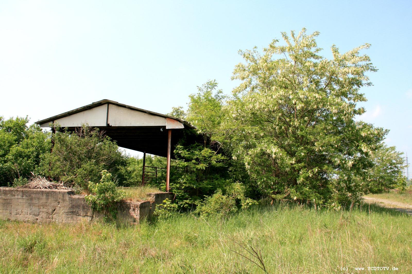  Bahnhof Schnhausen (Elbe), 20.05.2011, endlich entdeckt: Dr. Lgenbold-Kohls blhende Landschaften im Osten 